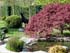 Luxuriant jardin dans un cadre romantique, dont les axes dissimulent une grande rigueur. Source et ruisseaux enti&egrave;rement cr&eacute;&eacute;s.